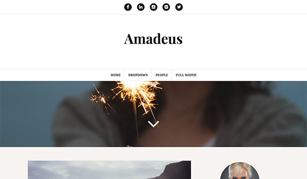 free-wordpress-themes-9