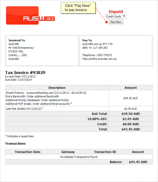 Paying and Viewing Invoices Web24