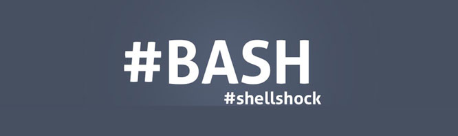 Check If Your Linux System Is Vulnerable To Shellshock And Fix It